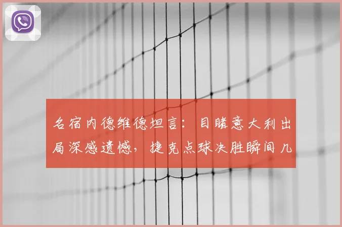 名宿内德维德坦言：目睹意大利出局深感遗憾，捷克点球决胜瞬间几乎窒息