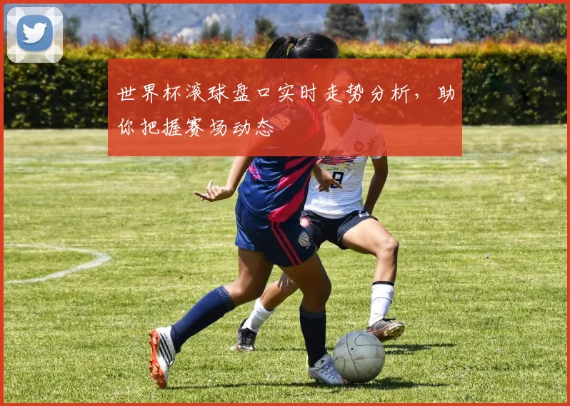 世界杯滚球盘口实时走势分析,助你把握赛场动态