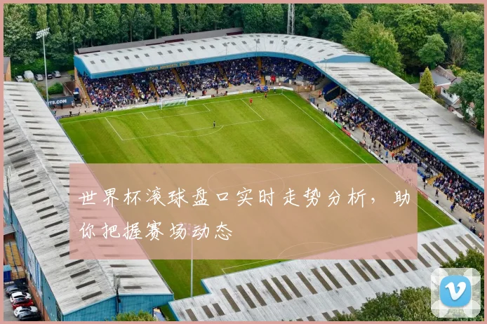 世界杯滚球盘口实时走势分析,助你把握赛场动态